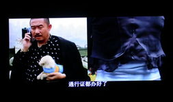 国产之精品视频