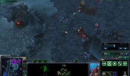 星际争霸2虫王91直播,星际争霸2虫族战术解析与实战技巧揭秘