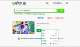 视频解析网,技术解析与内容洞察